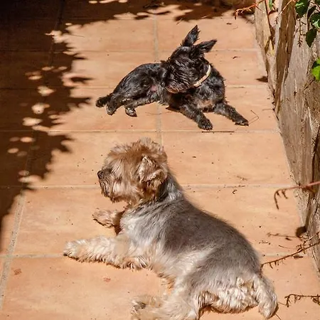 La Derrubia Country house *